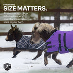 Kensington Mini 80G Light Weight Horse Winter Turnout Blanket - Waterproof & Breathable