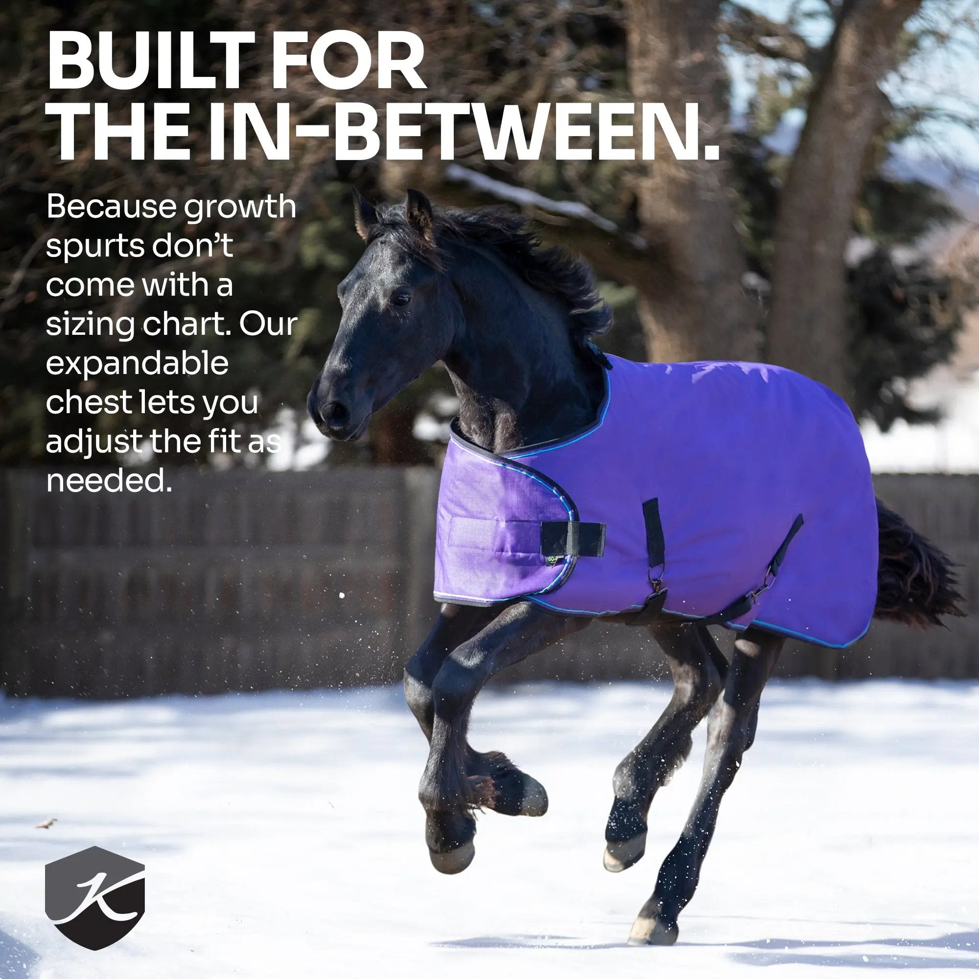 1200D Adjustable Juvenile 180G Medium Weight Winter Turnout Blanket - Waterproof & Breathable