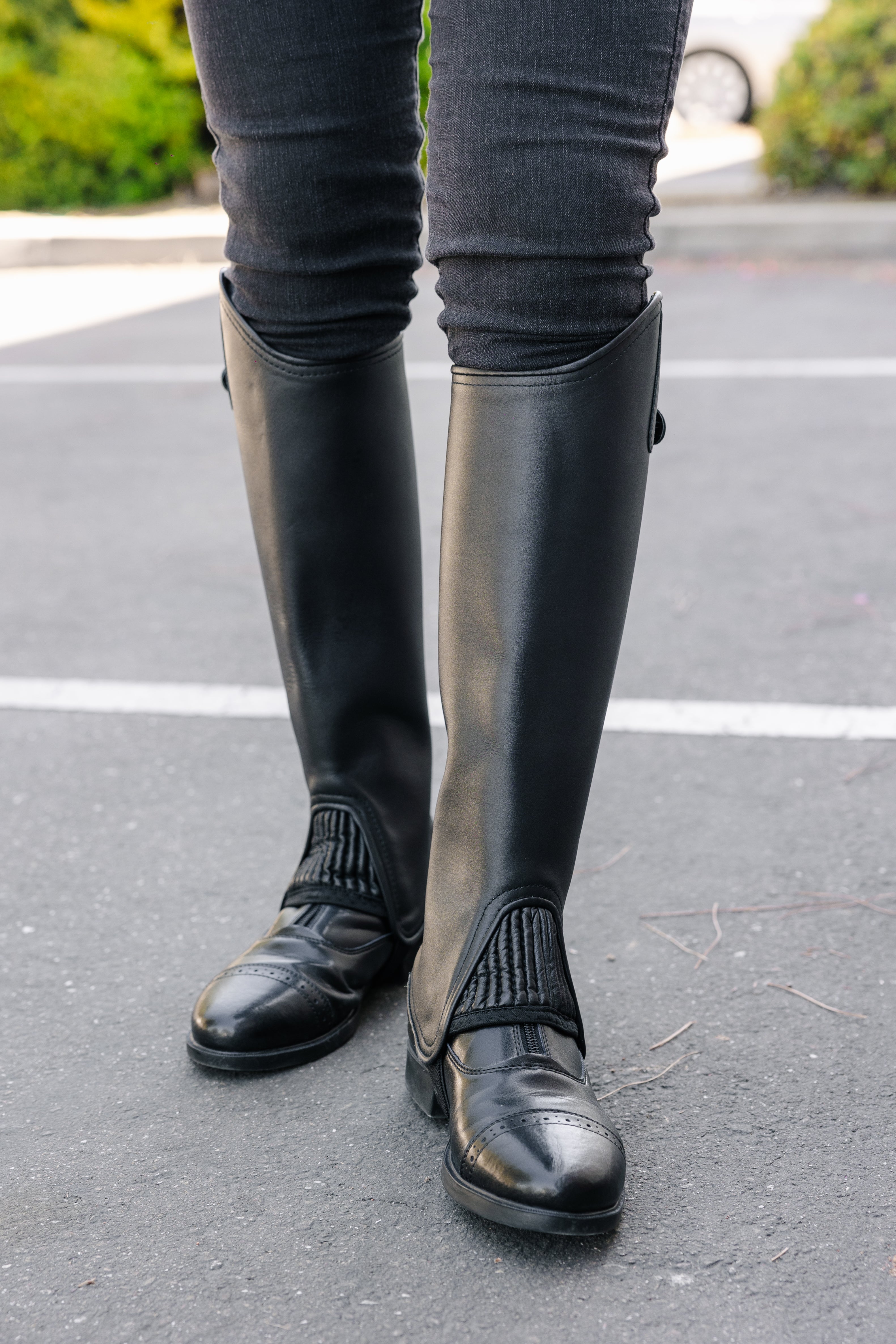 Canyon Deluxe Leather Half Chaps