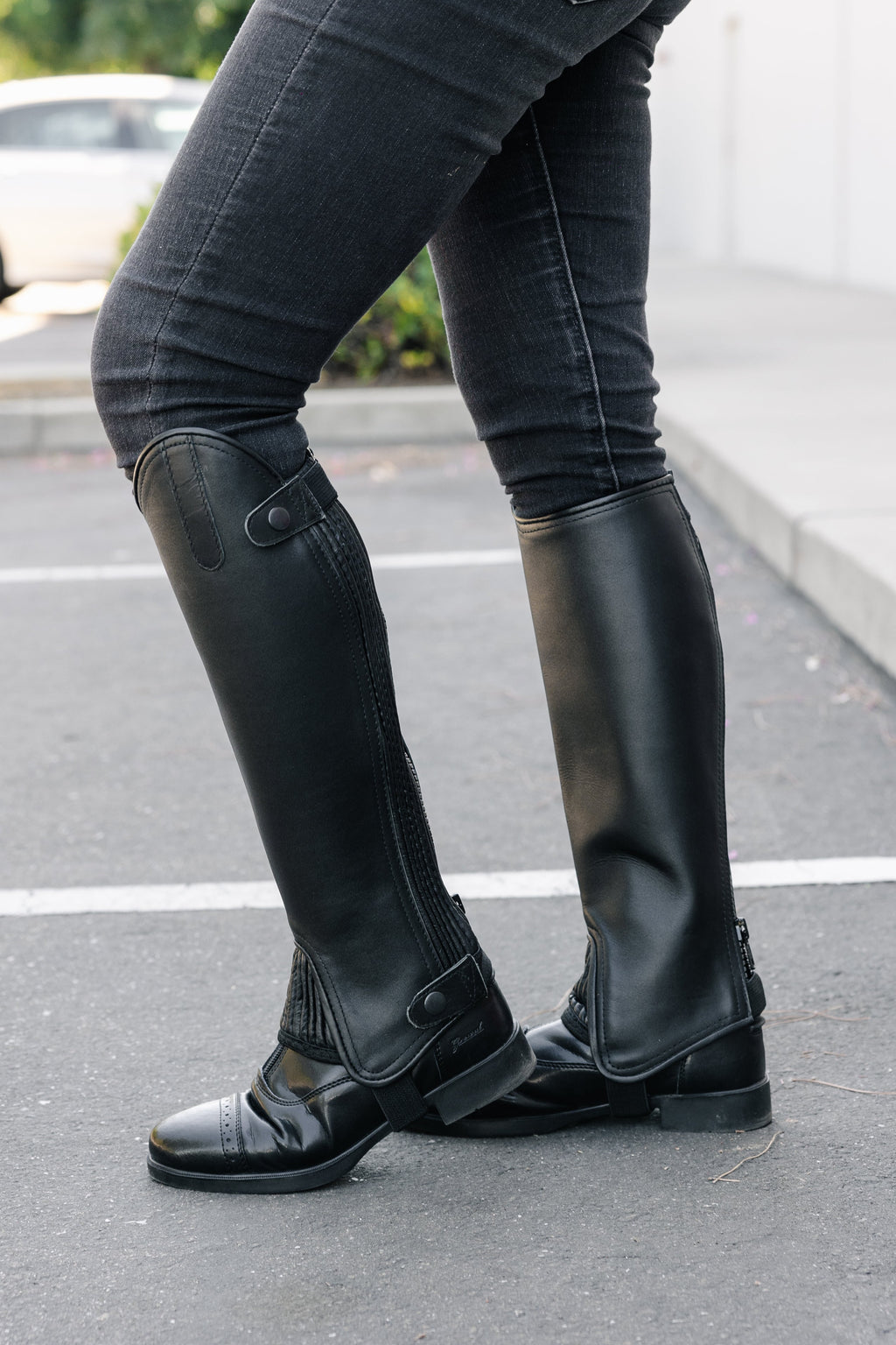 Canyon Deluxe Leather Half Chaps