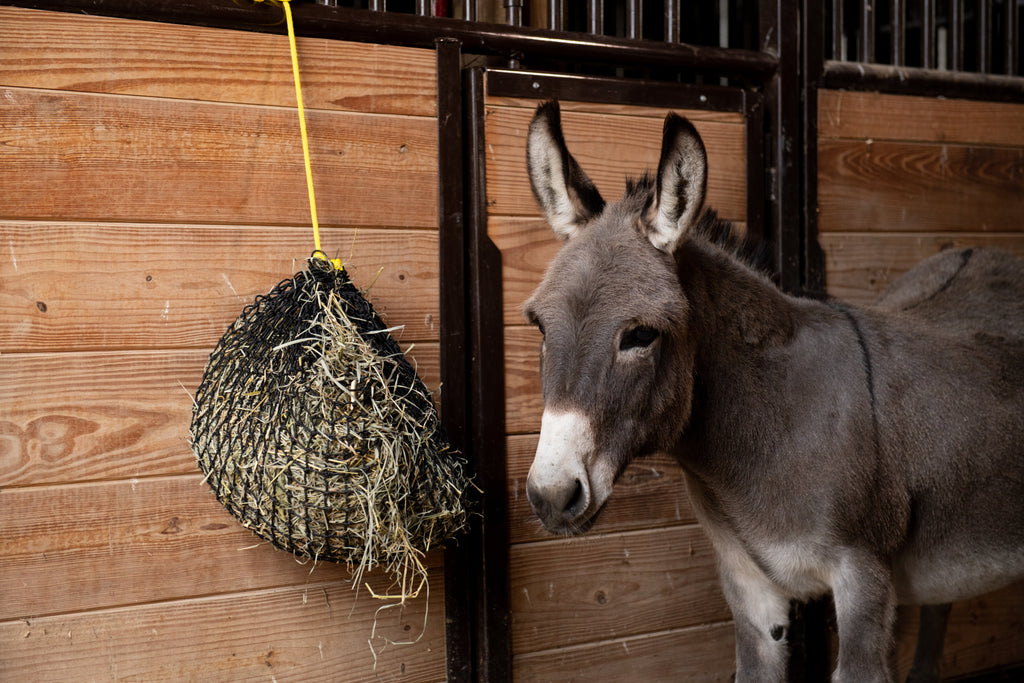 Xtra Small Hay Net