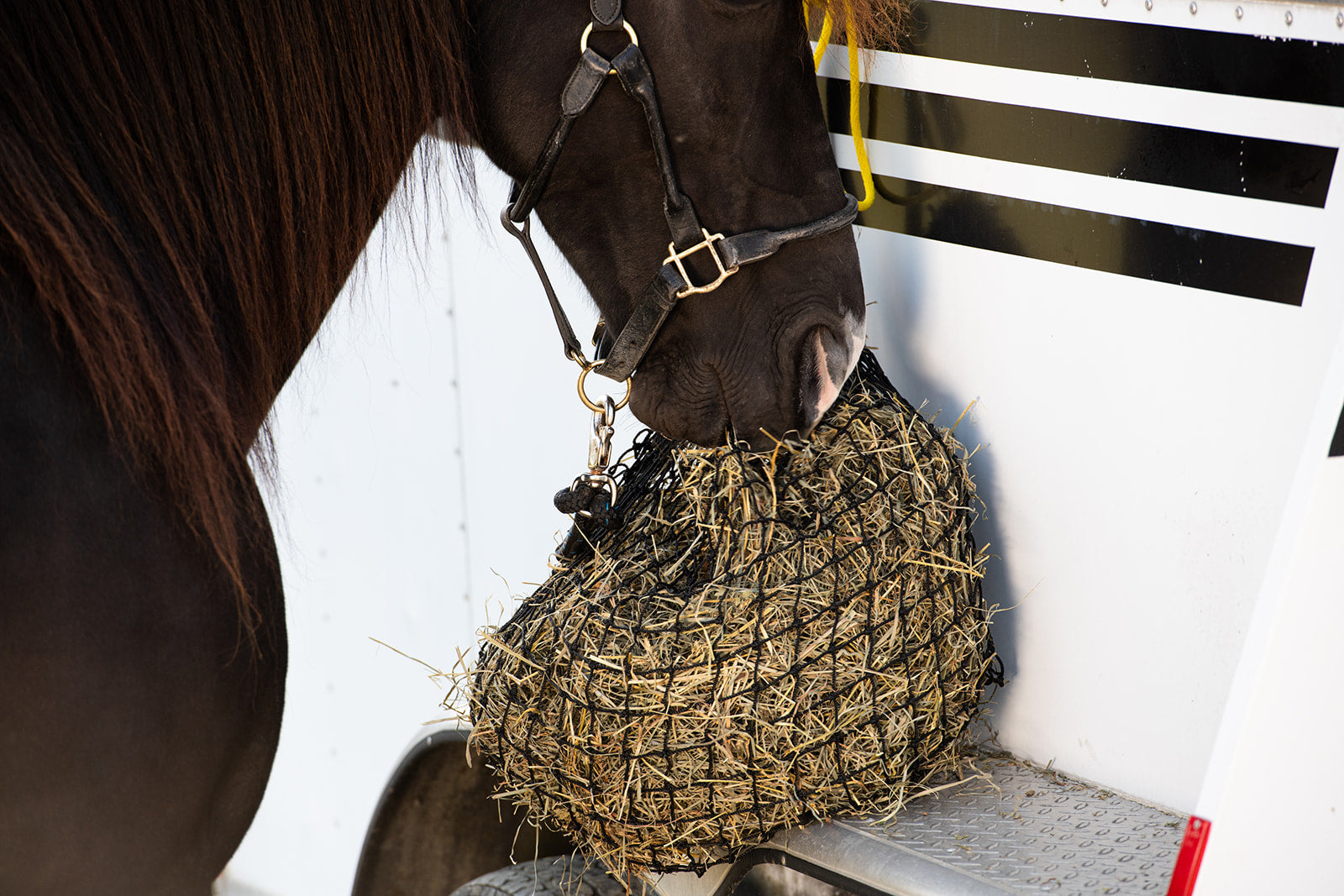 Small Hay Net