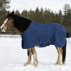 Kensington Draft Horse Midweight 180g Winter Turnout Blanket - Waterproof & Breathable