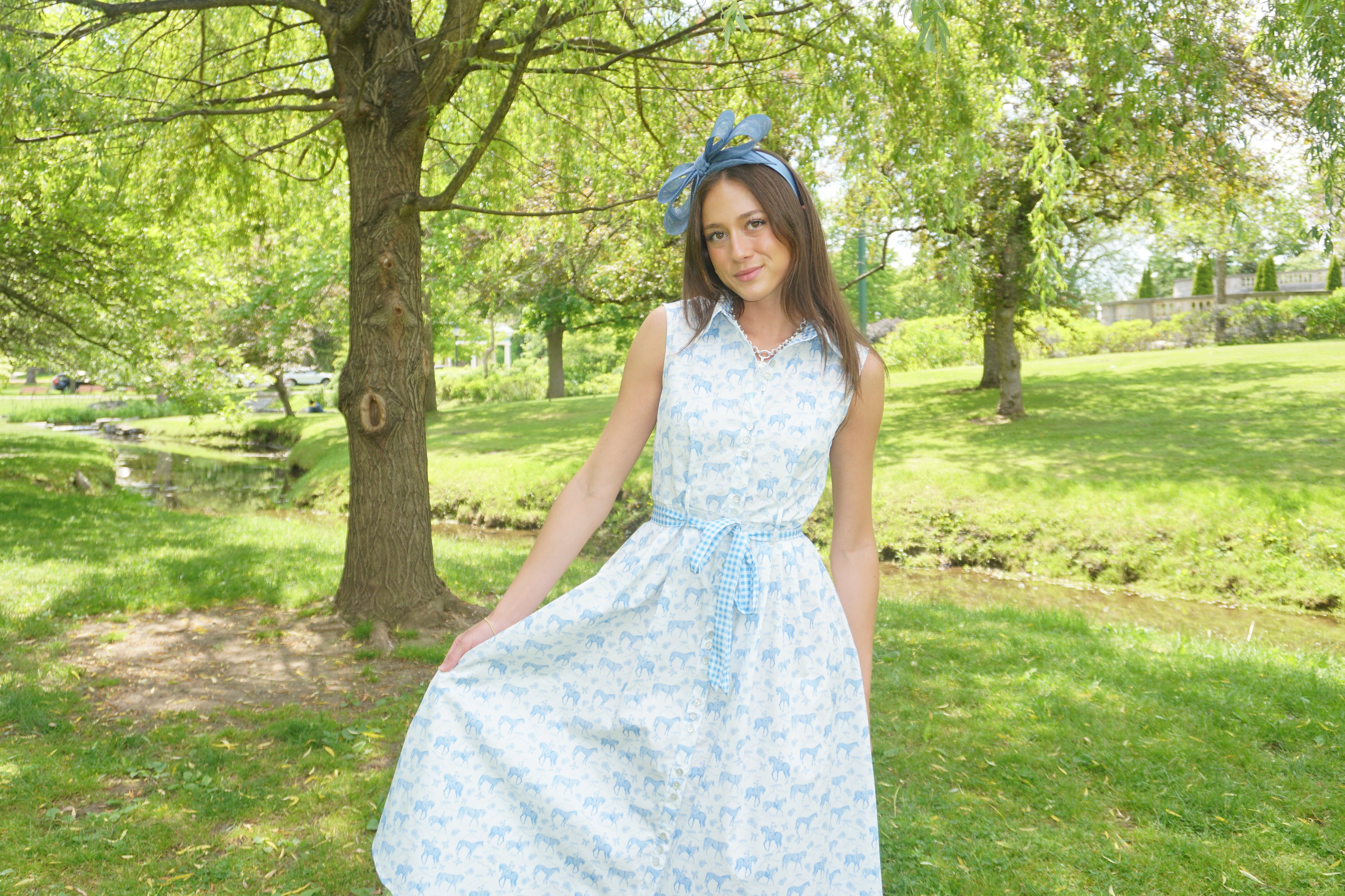 Equestrian Toile Shirt Dress