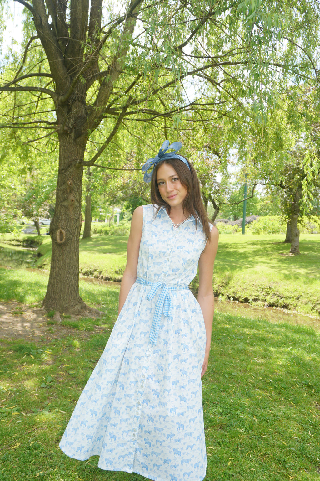 Equestrian Toile Shirt Dress