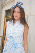Equestrian Toile Shirt Dress
