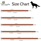 ExionPro Dark Blue Bling Dog Collar With Leash