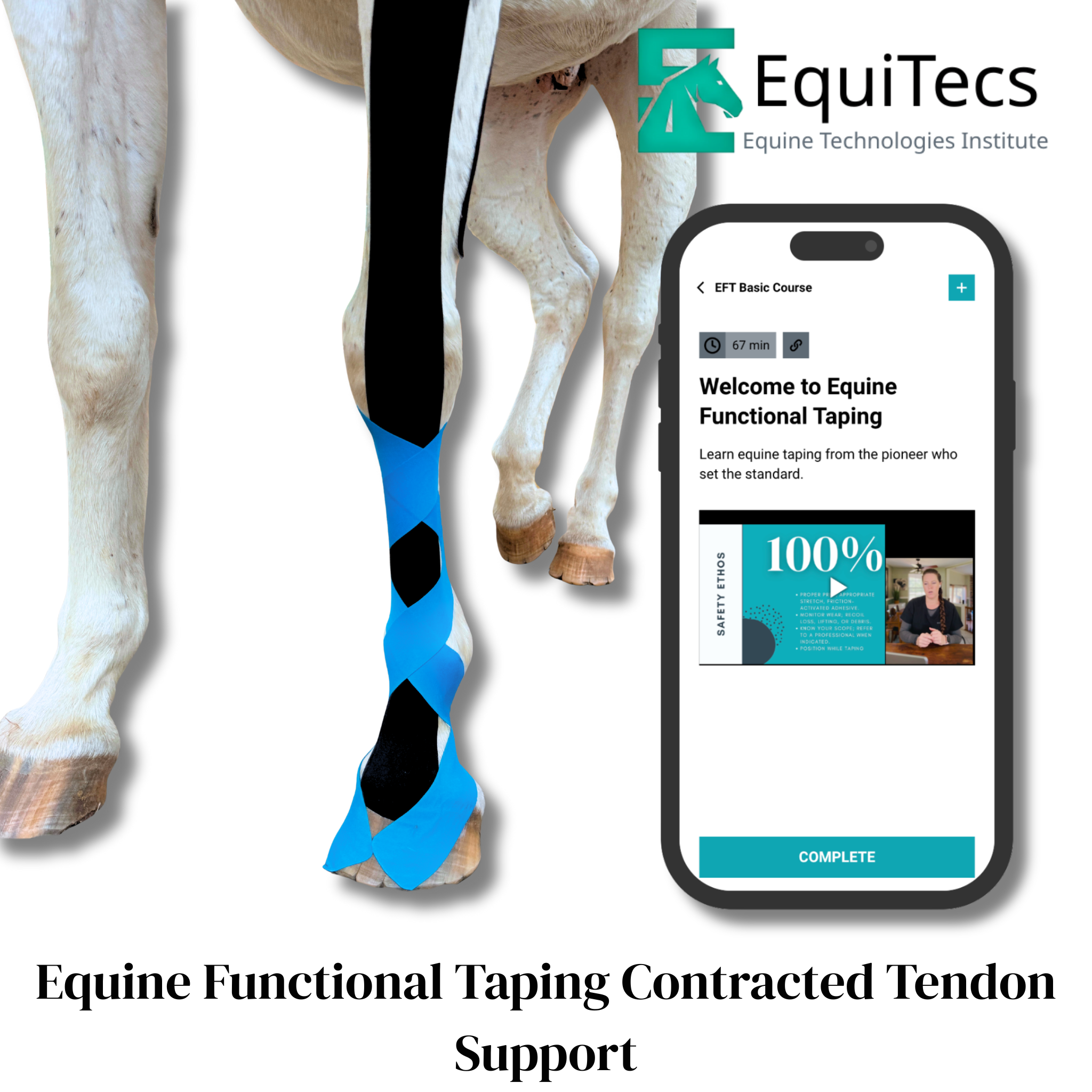 EquiTecs EFT Application Library