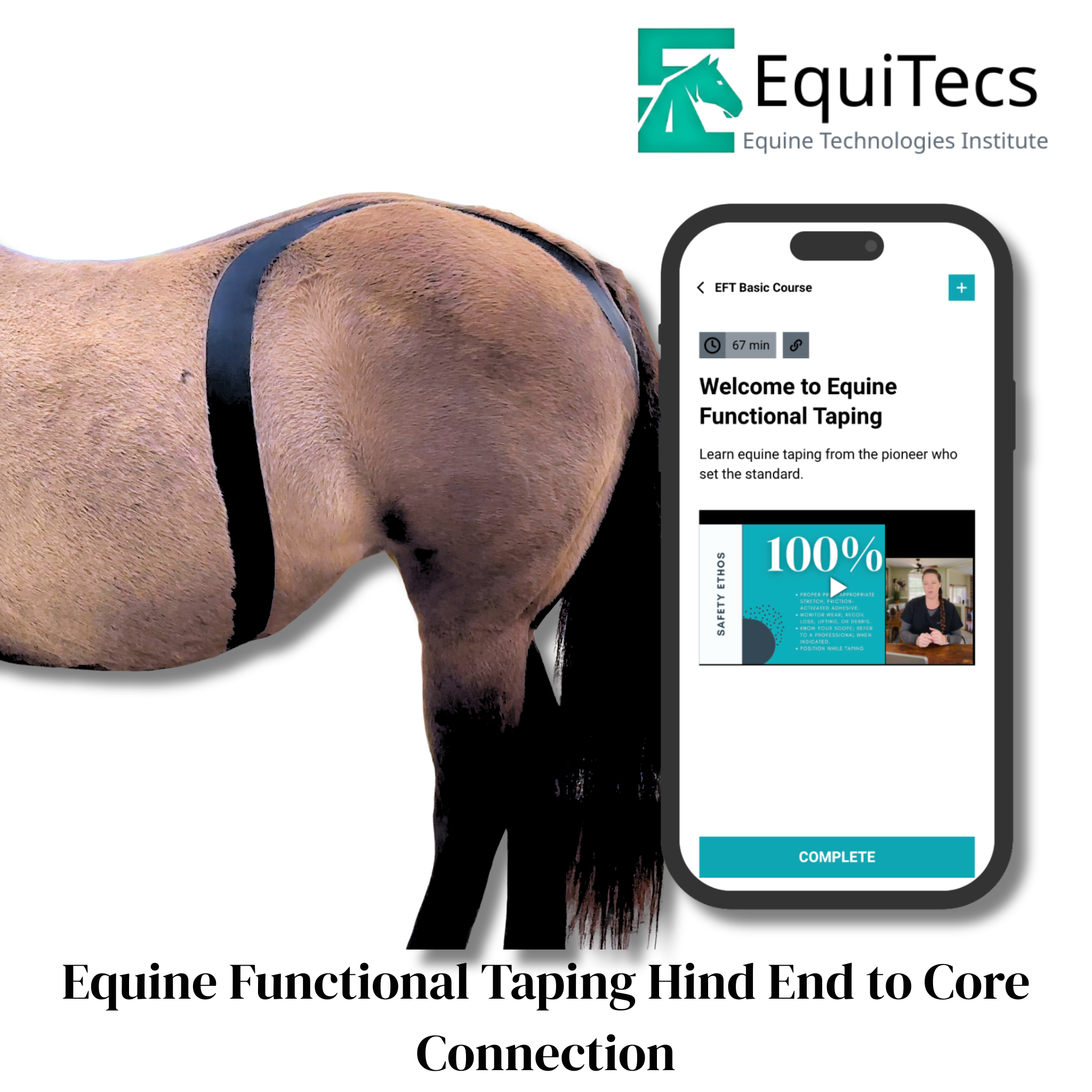 EquiTecs EFT Application Library