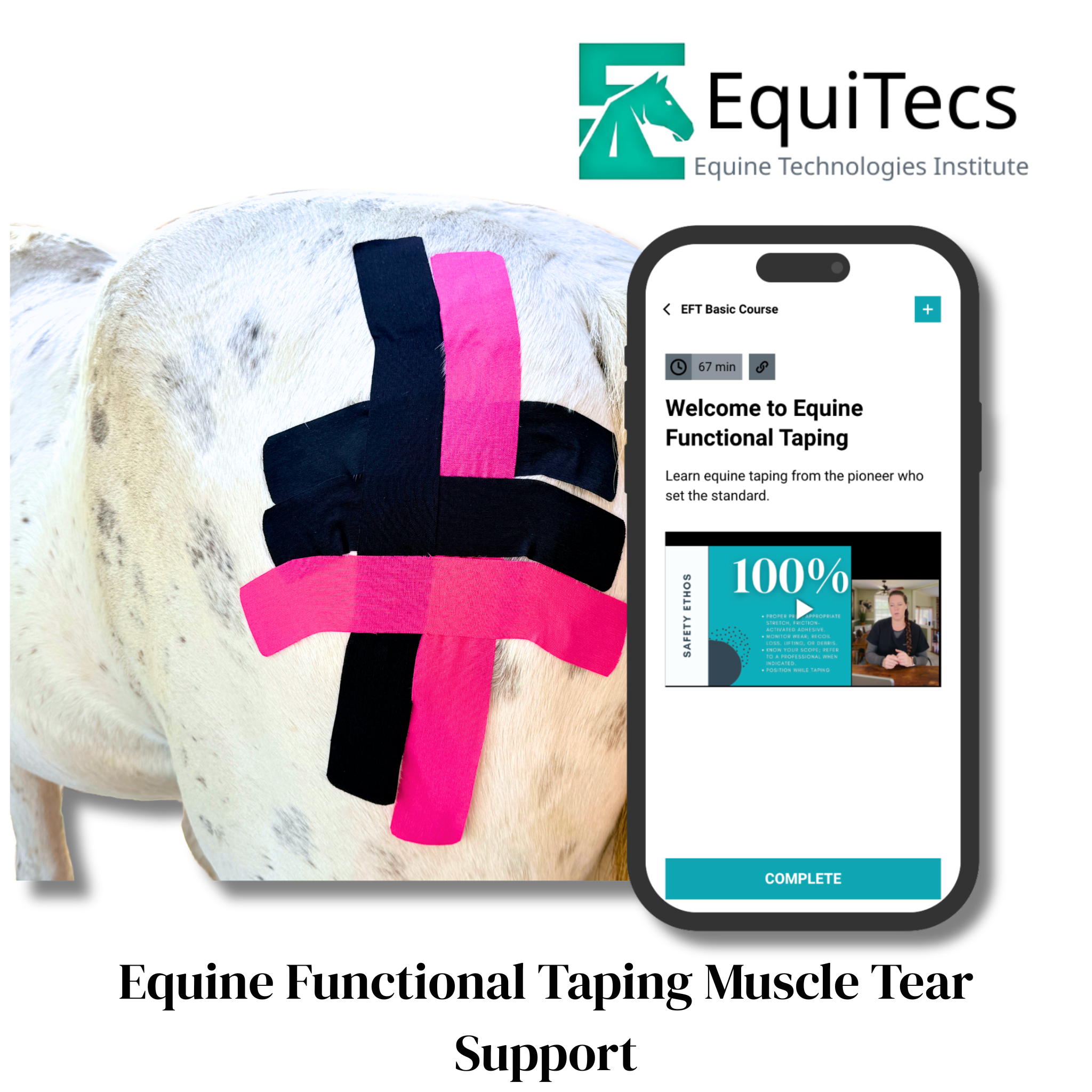 EquiTecs EFT Application Library