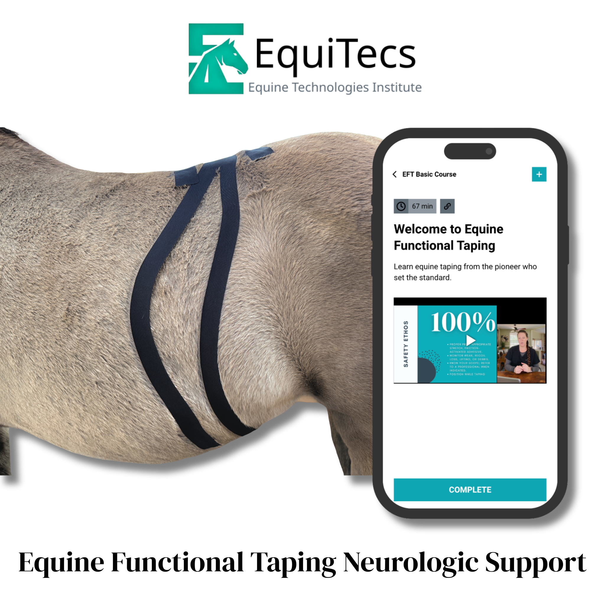 EquiTecs EFT Application Library