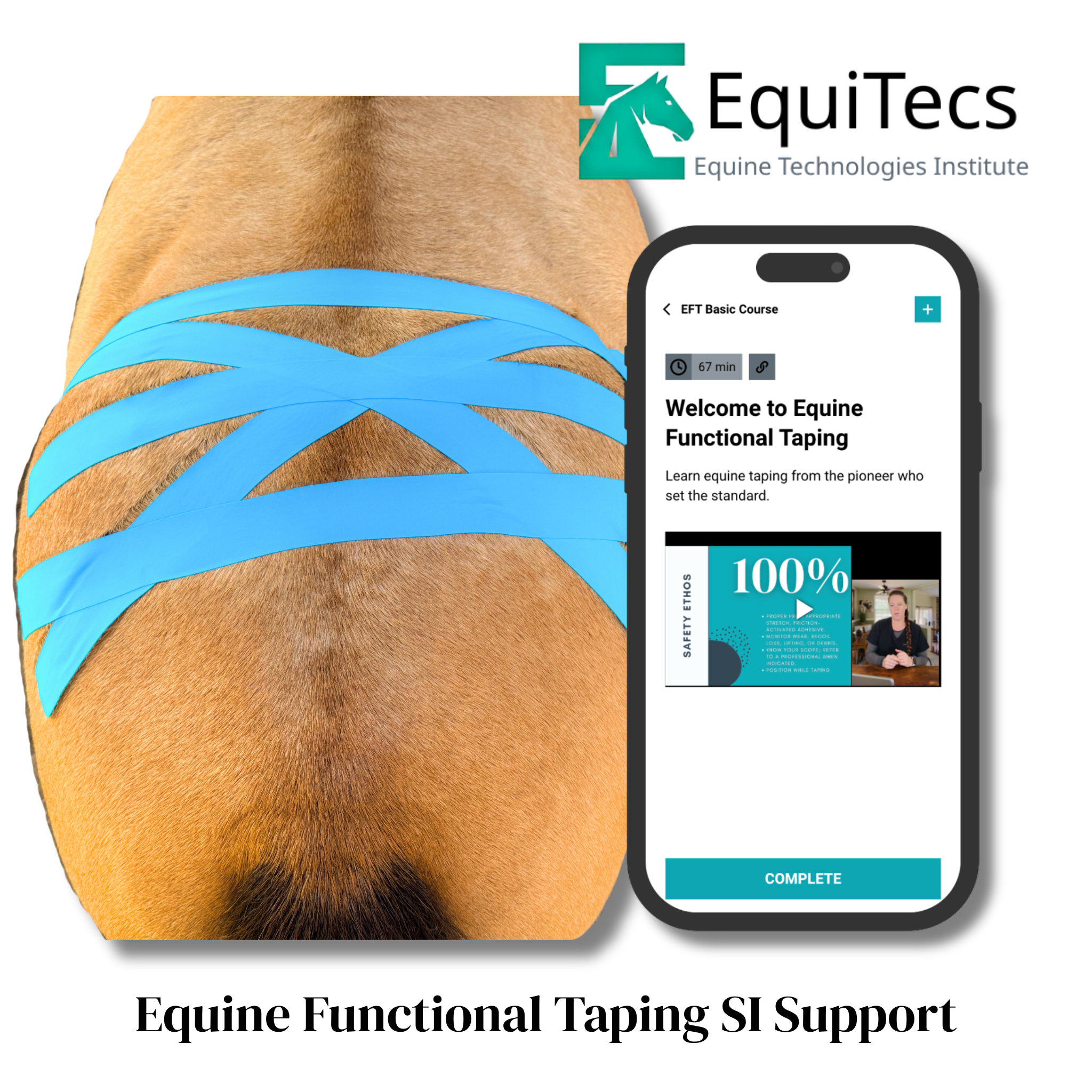 EquiTecs EFT Application Library