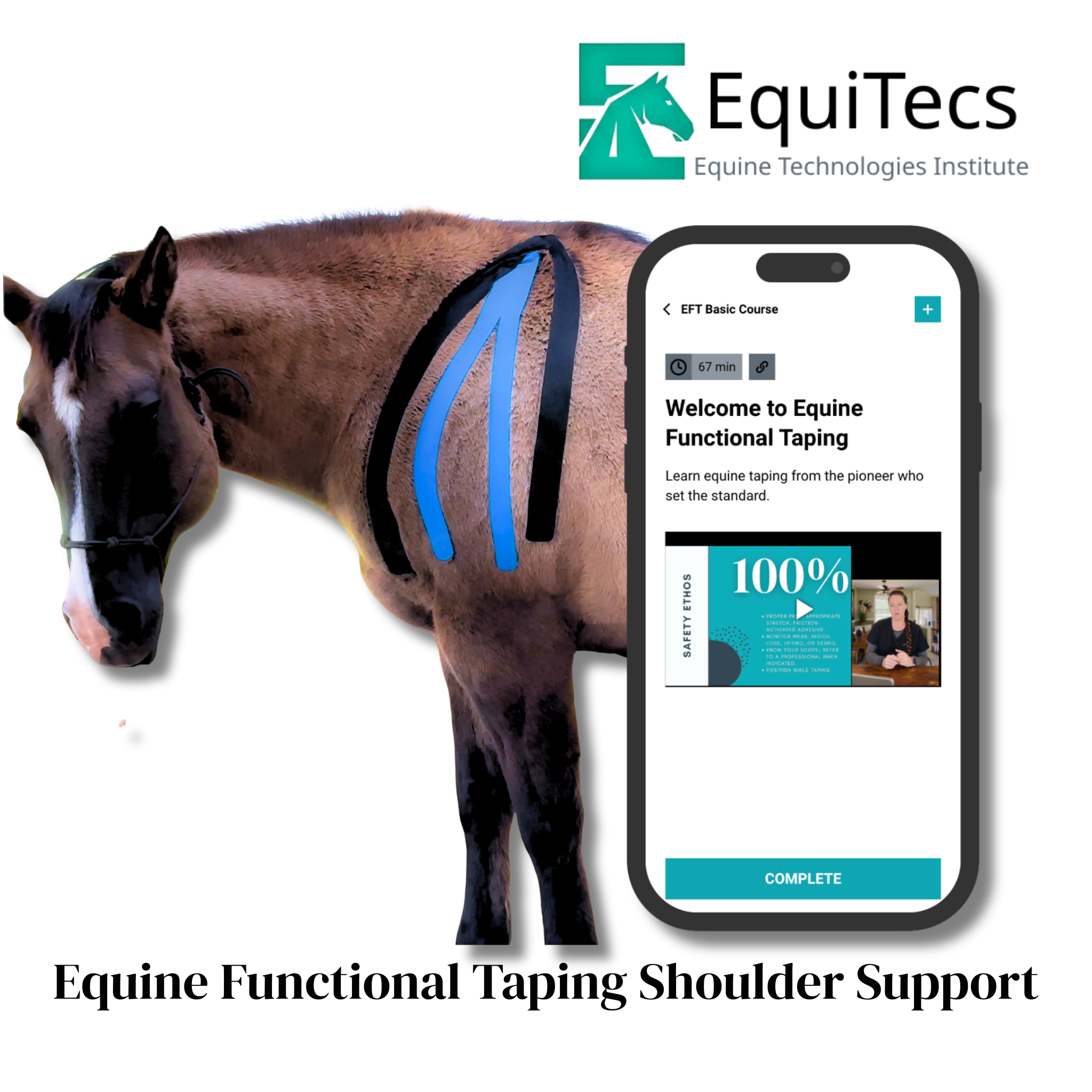 EquiTecs EFT Application Library