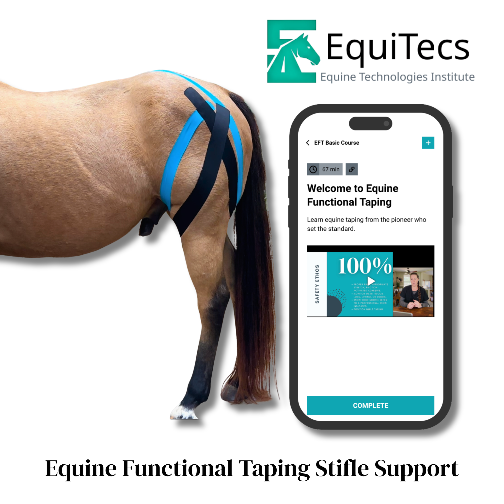 EquiTecs EFT Application Library