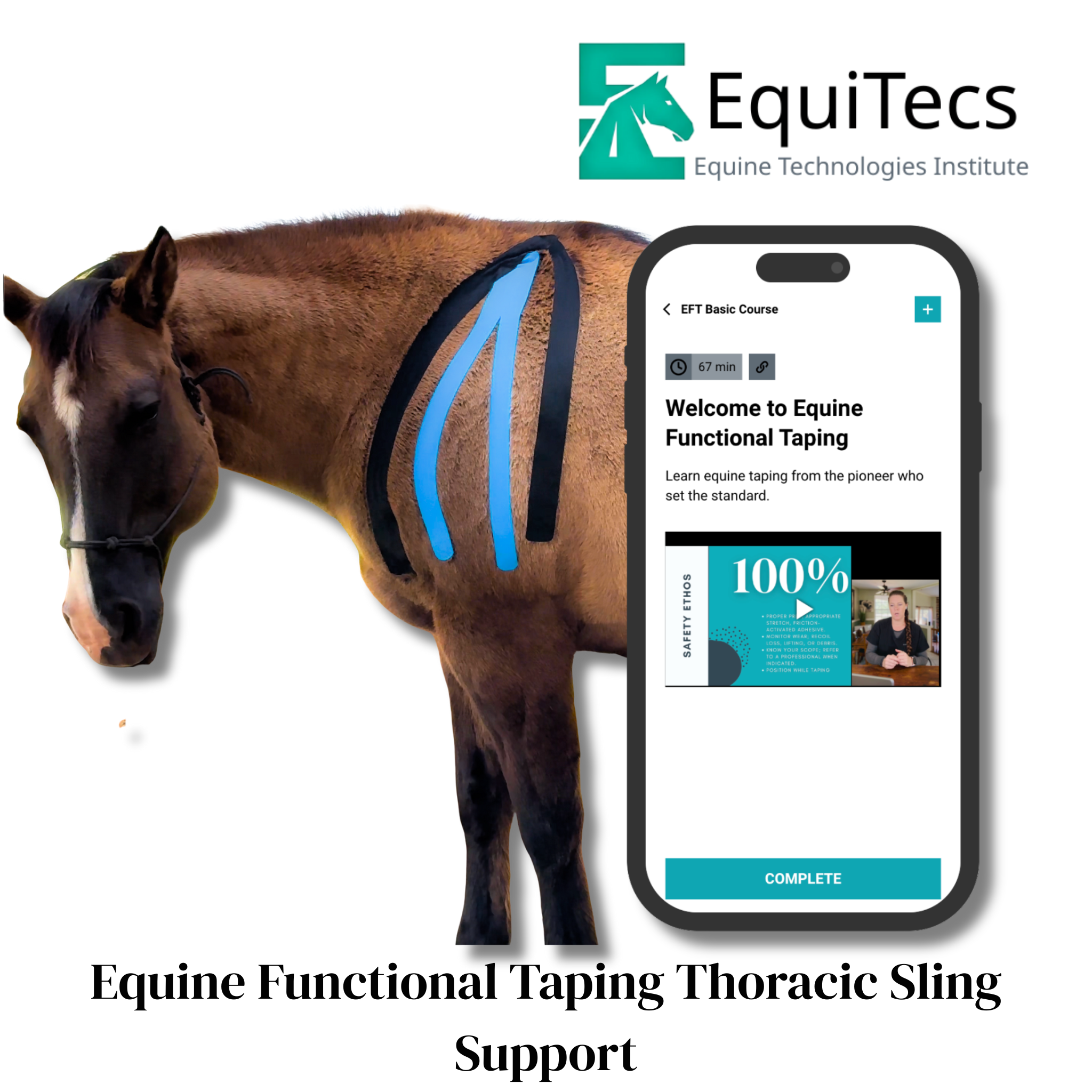 EquiTecs EFT Application Library