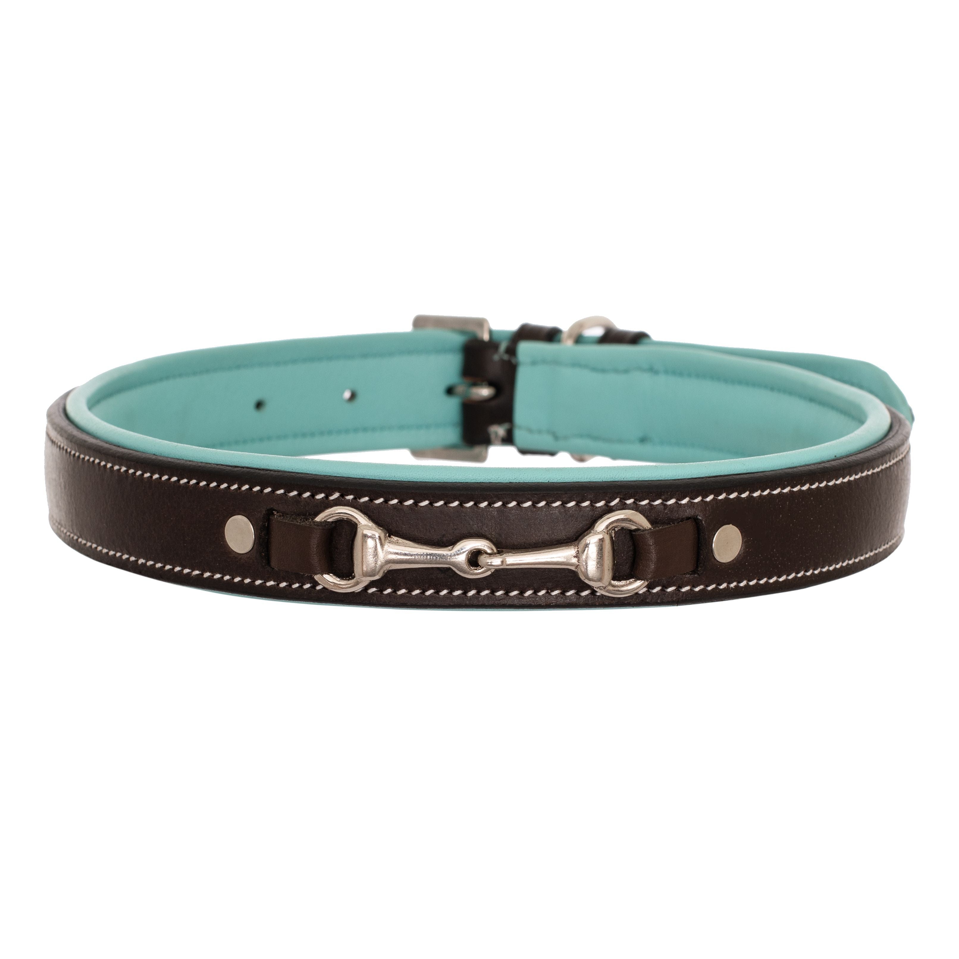 ExionPro Silver Snaffle Padded Leather Dog Collar - Sky Blue Padding