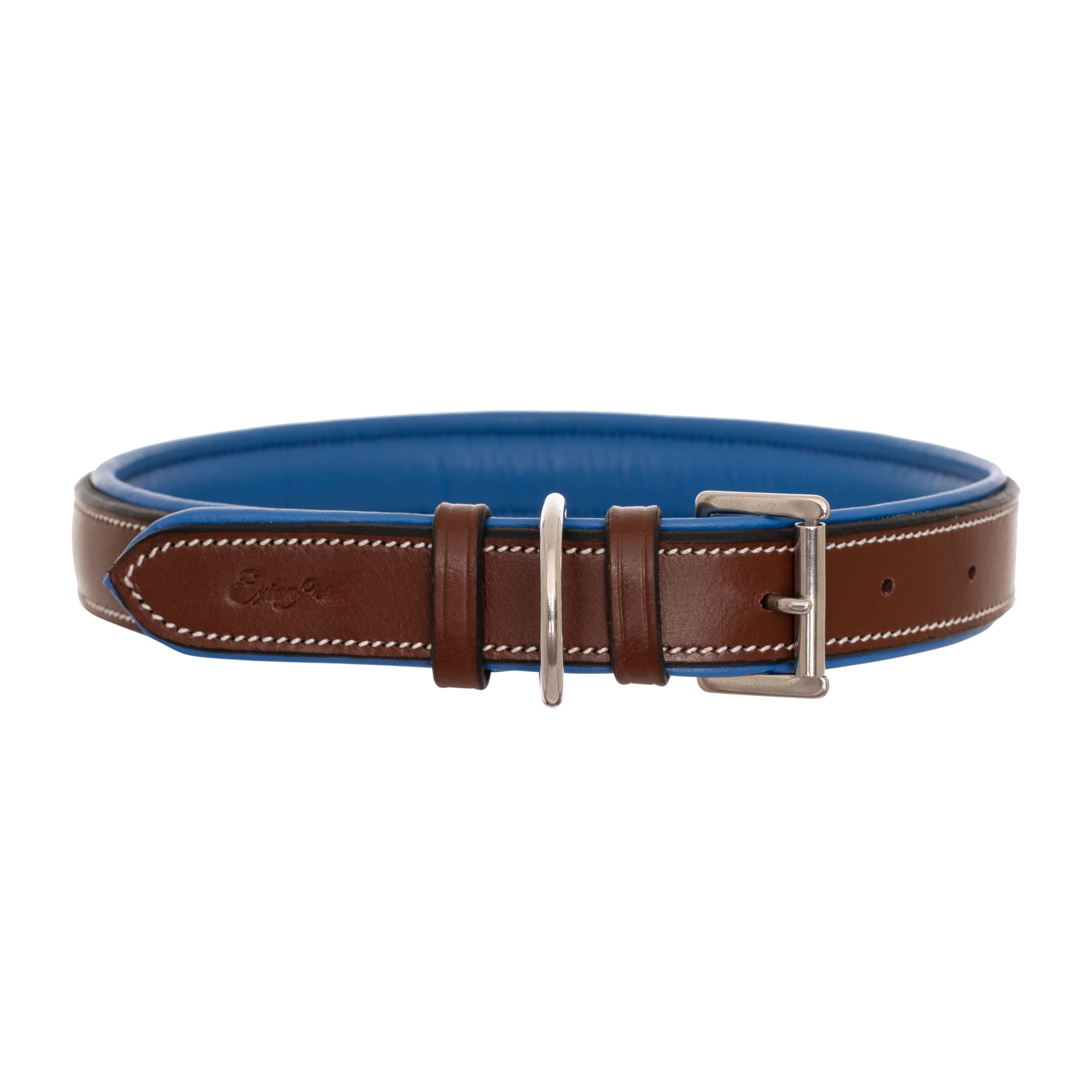 ExionPro Fancy Stitched Padded Leather Dog Collar - Blue Padding