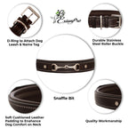 ExionPro Silver Snaffle Padded Leather Dog Collar - Conker Padding