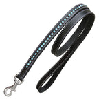 ExionPro Bling Dog Leash- Blue