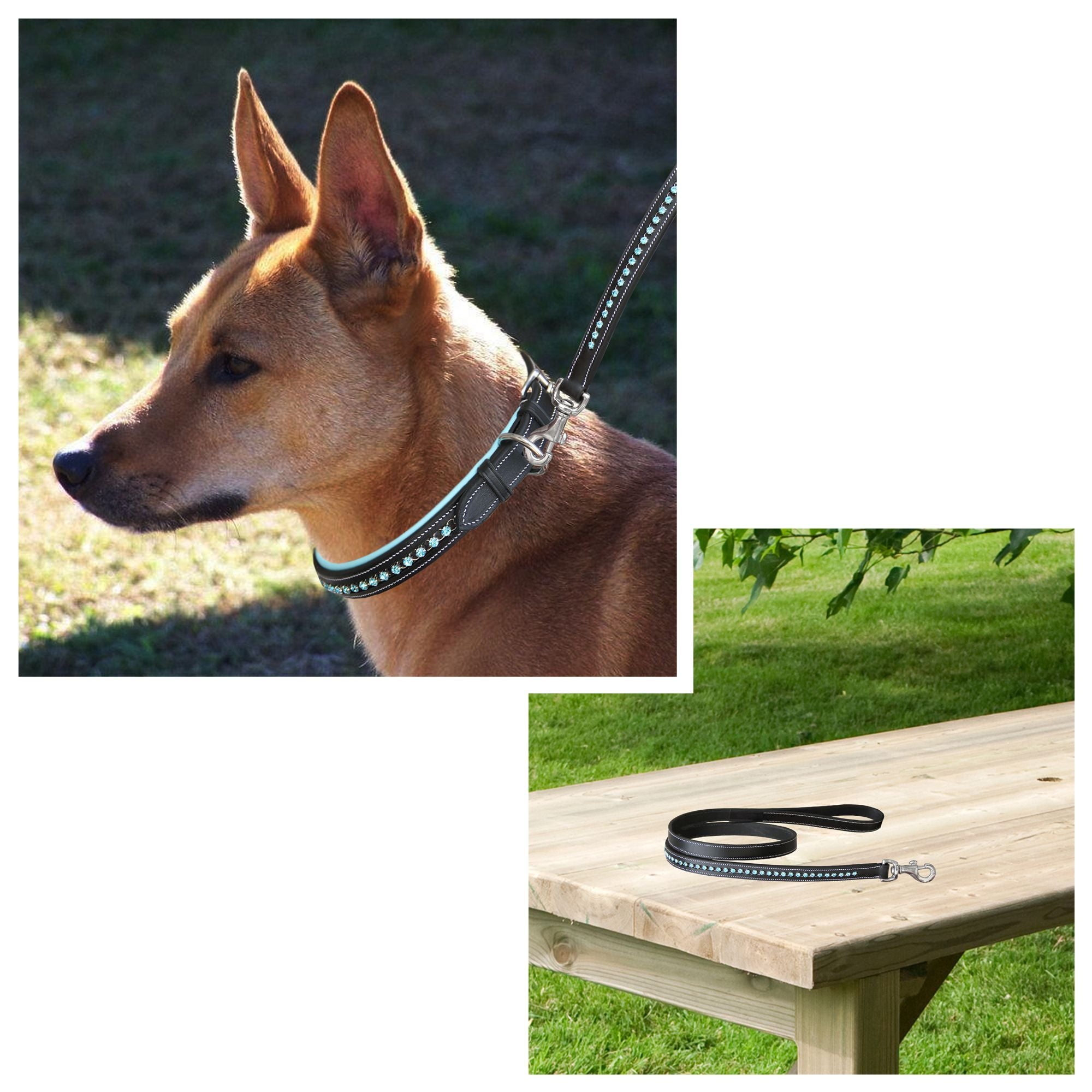 ExionPro Bling Dog Leash- Blue