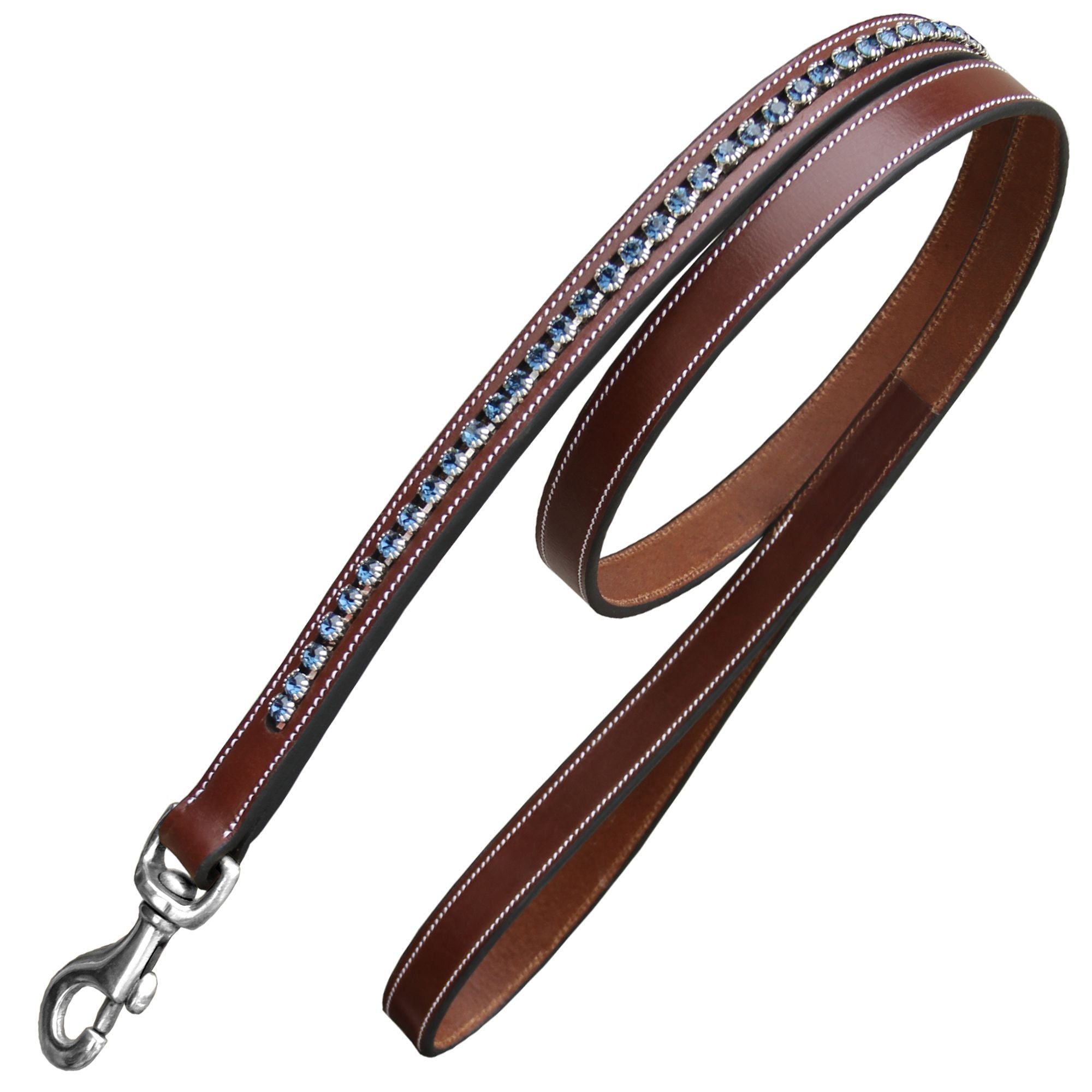 ExionPro Dark Bling Dog Leash- Blue