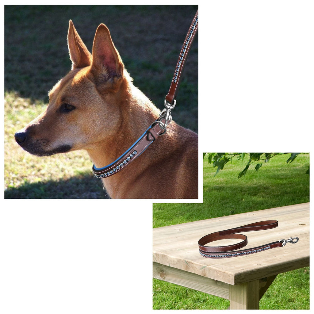 ExionPro Dark Bling Dog Leash- Blue