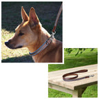 ExionPro Dark Bling Dog Leash- Blue