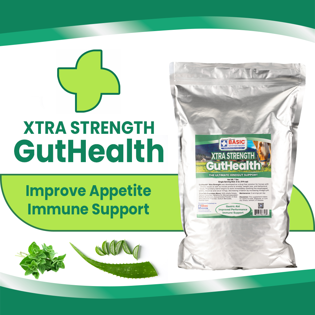GutHealth Xtra Strength Pellets Supplement for Horses