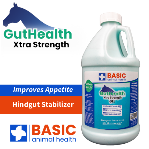 GutHealth Xtra Strength Gel for Horses - Bottles