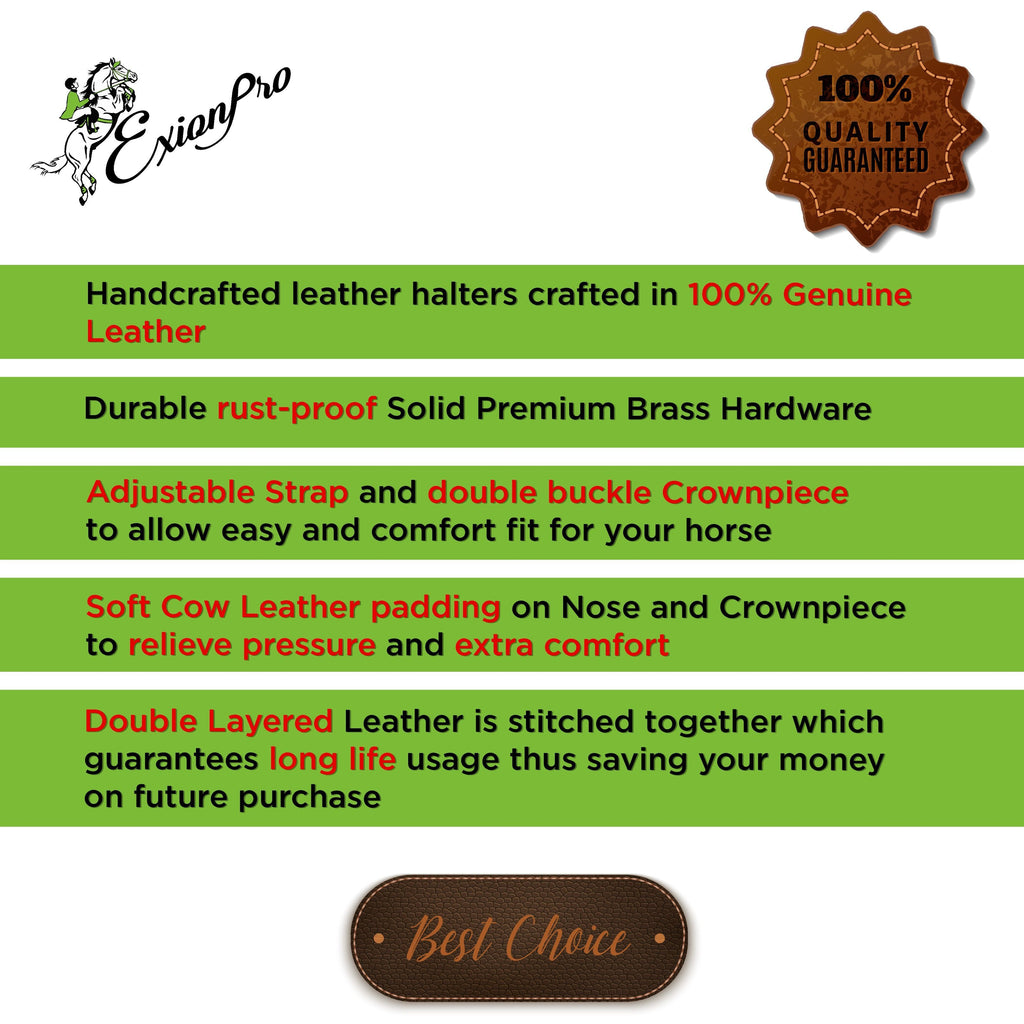 ExionPro Clincher Leather Halter - Brass Hardware