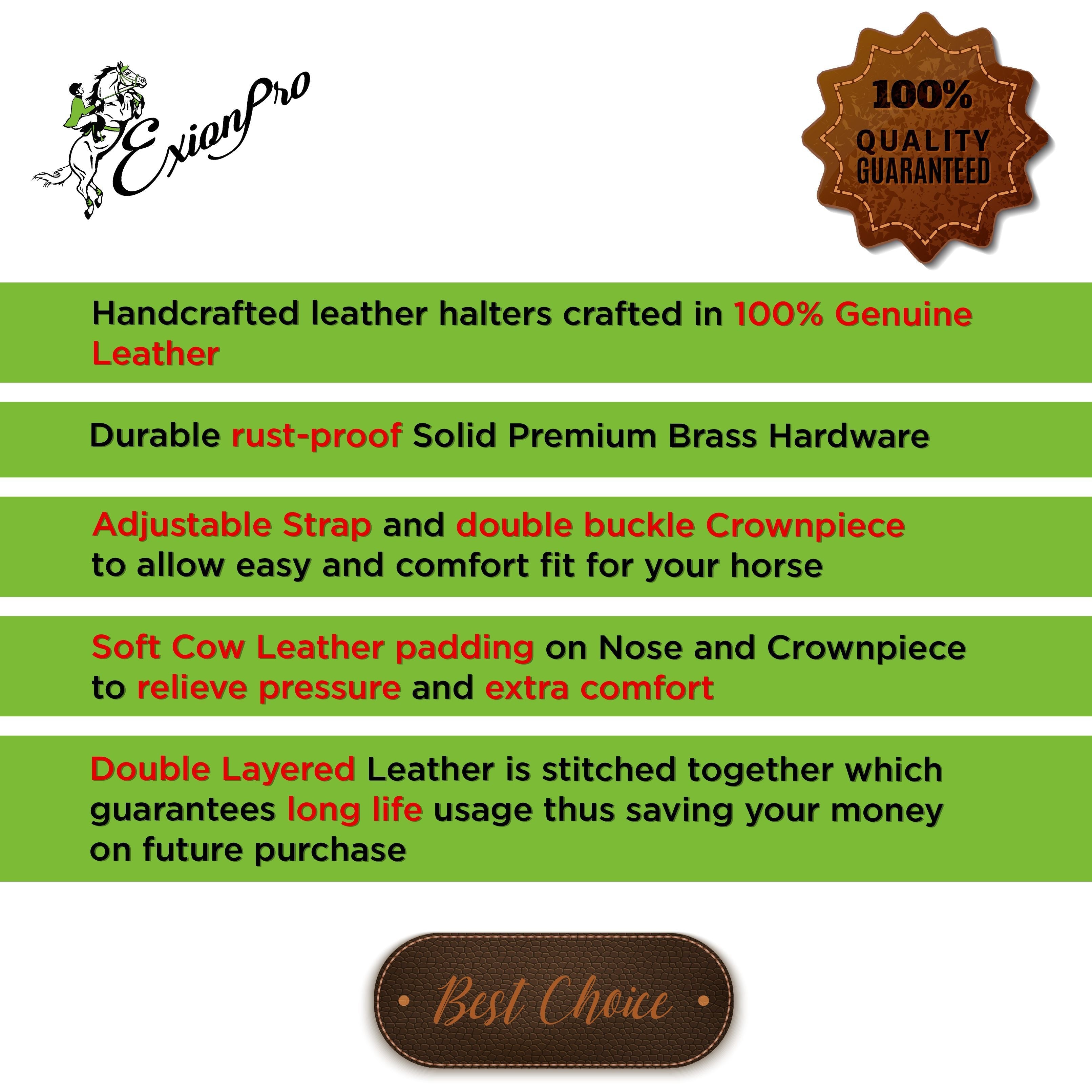 ExionPro Clincher Leather Halter - Brass Hardware