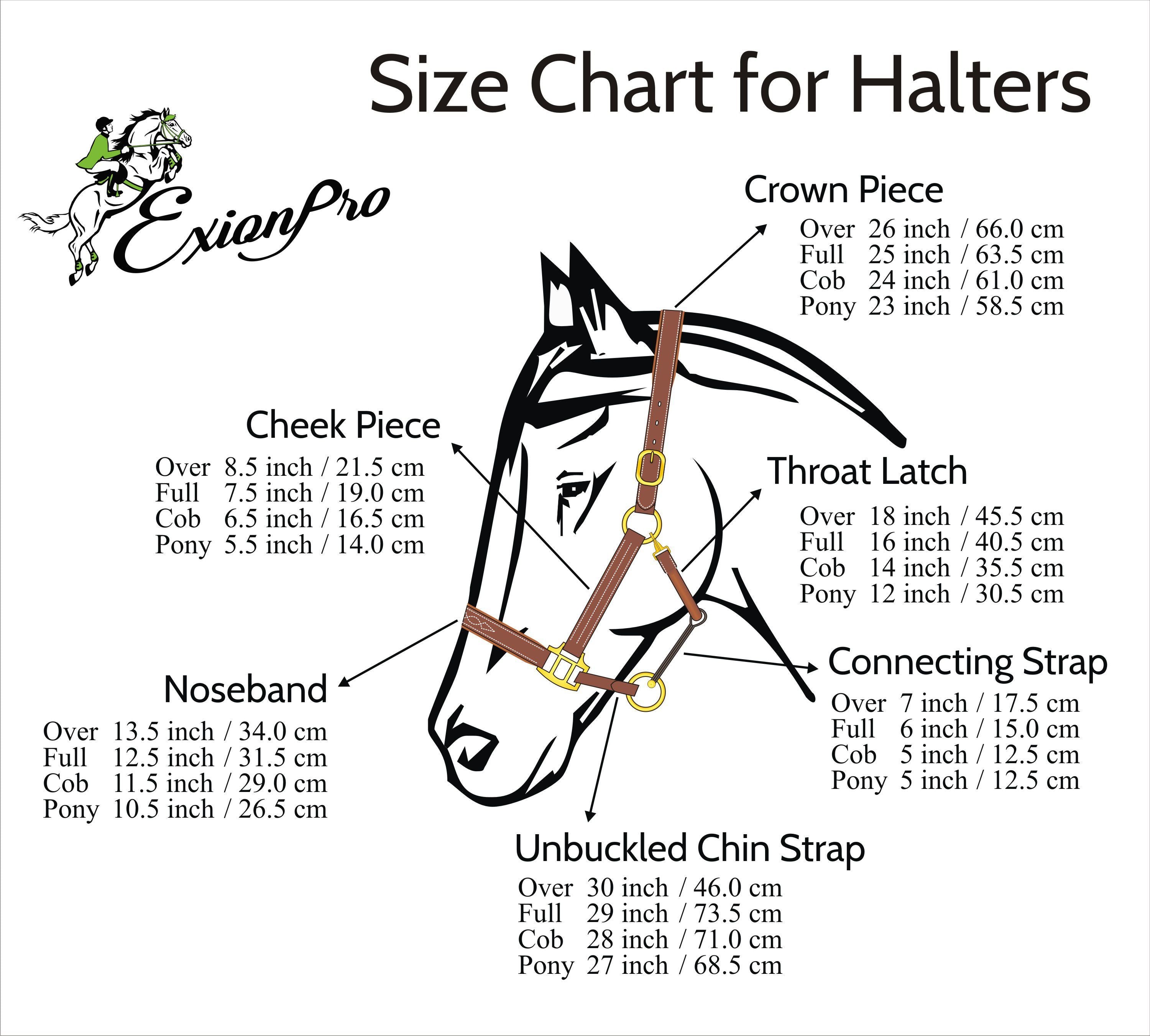 ExionPro Clincher Leather Halter - Brass Hardware