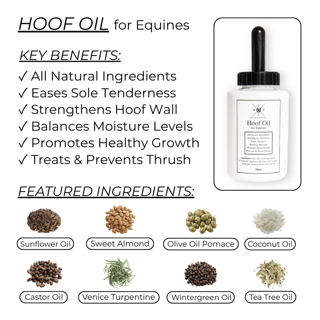 Hoof Oil for Horses - 16oz