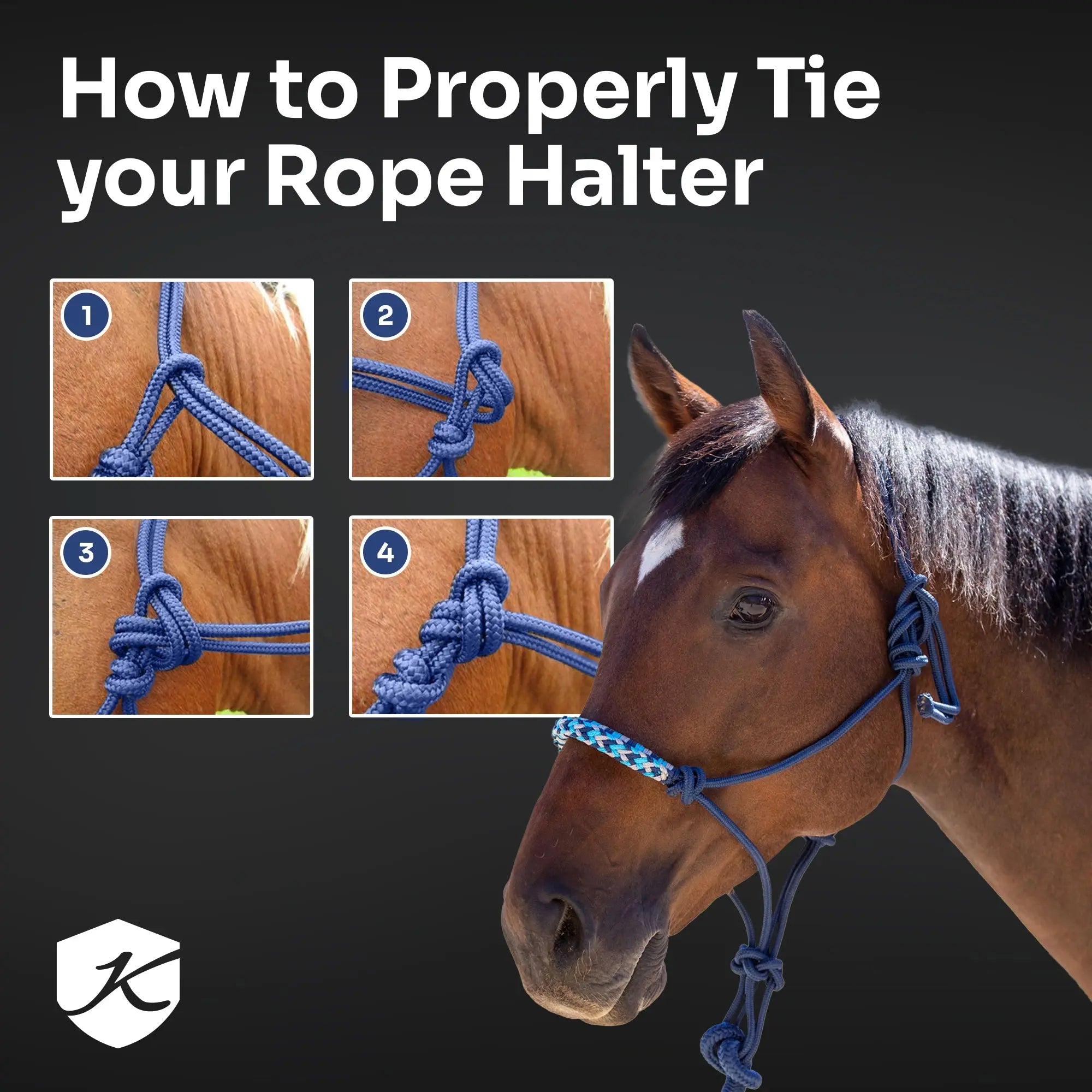 Clinician Training Rope Halter with Braided Nose