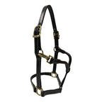 Huntley Equestrian Fancy Stitched Adjustable Premium Leather Pony Halter with Brass Hardware