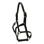 Huntley Equestrian Fancy Stitched Adjustable Premium Leather Pony Halter with Brass Hardware