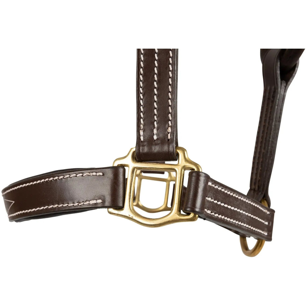Huntley Equestrian Fancy Stitched Premium Leather Padded Halter