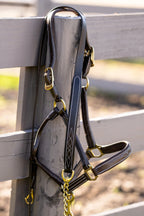 Huntley Equestrian Leather Lead with Brass Chain