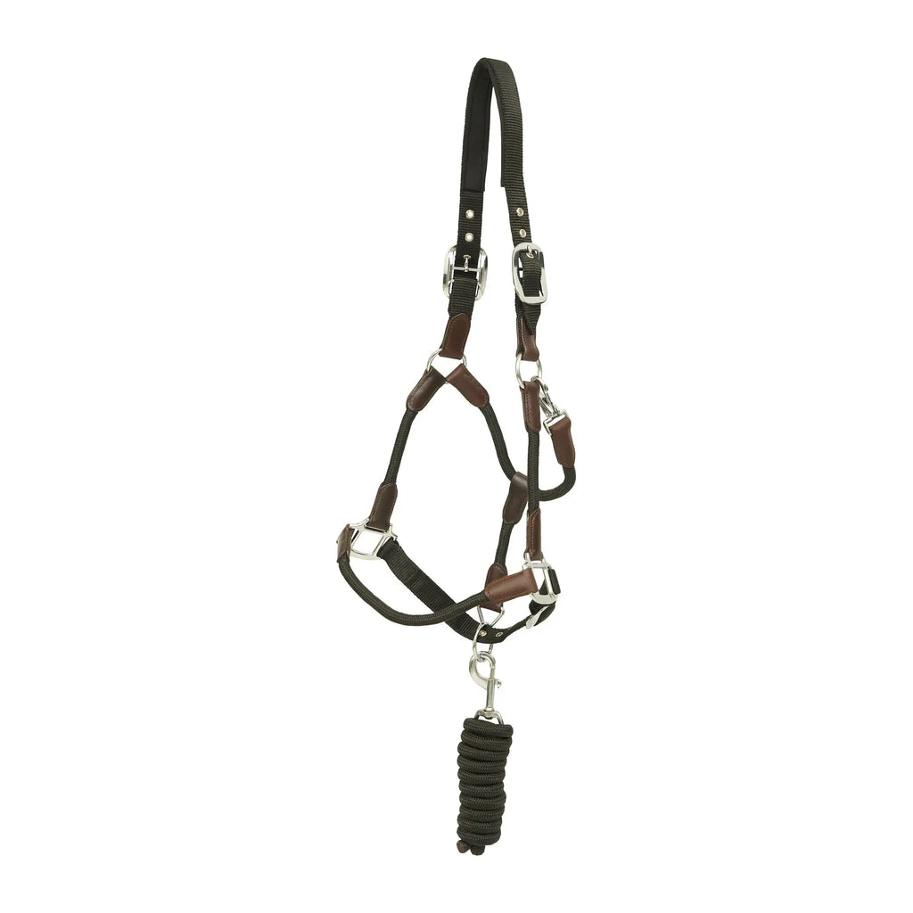 Huntley Nylon Halter and Removable Lead with Snap, Black