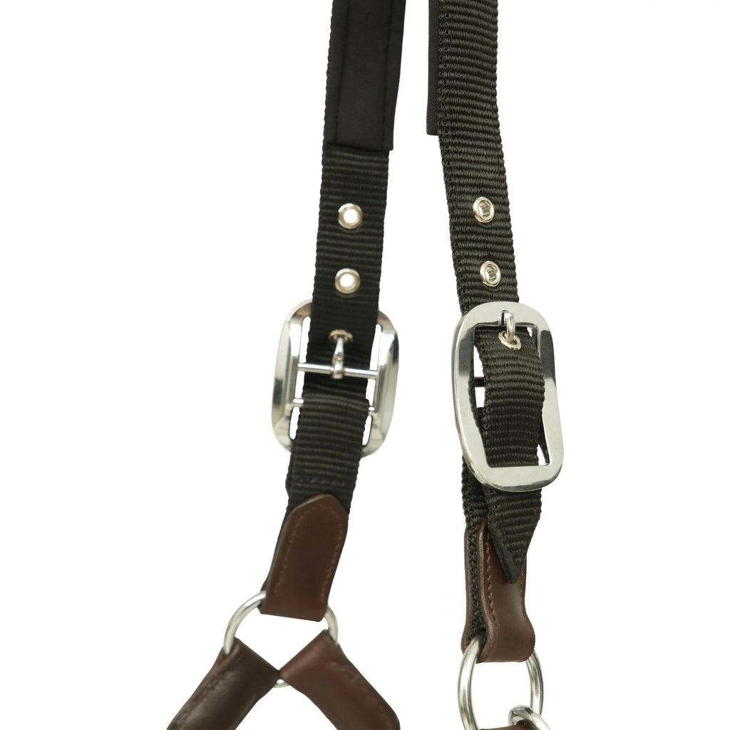 Huntley Nylon Halter and Removable Lead with Snap, Black