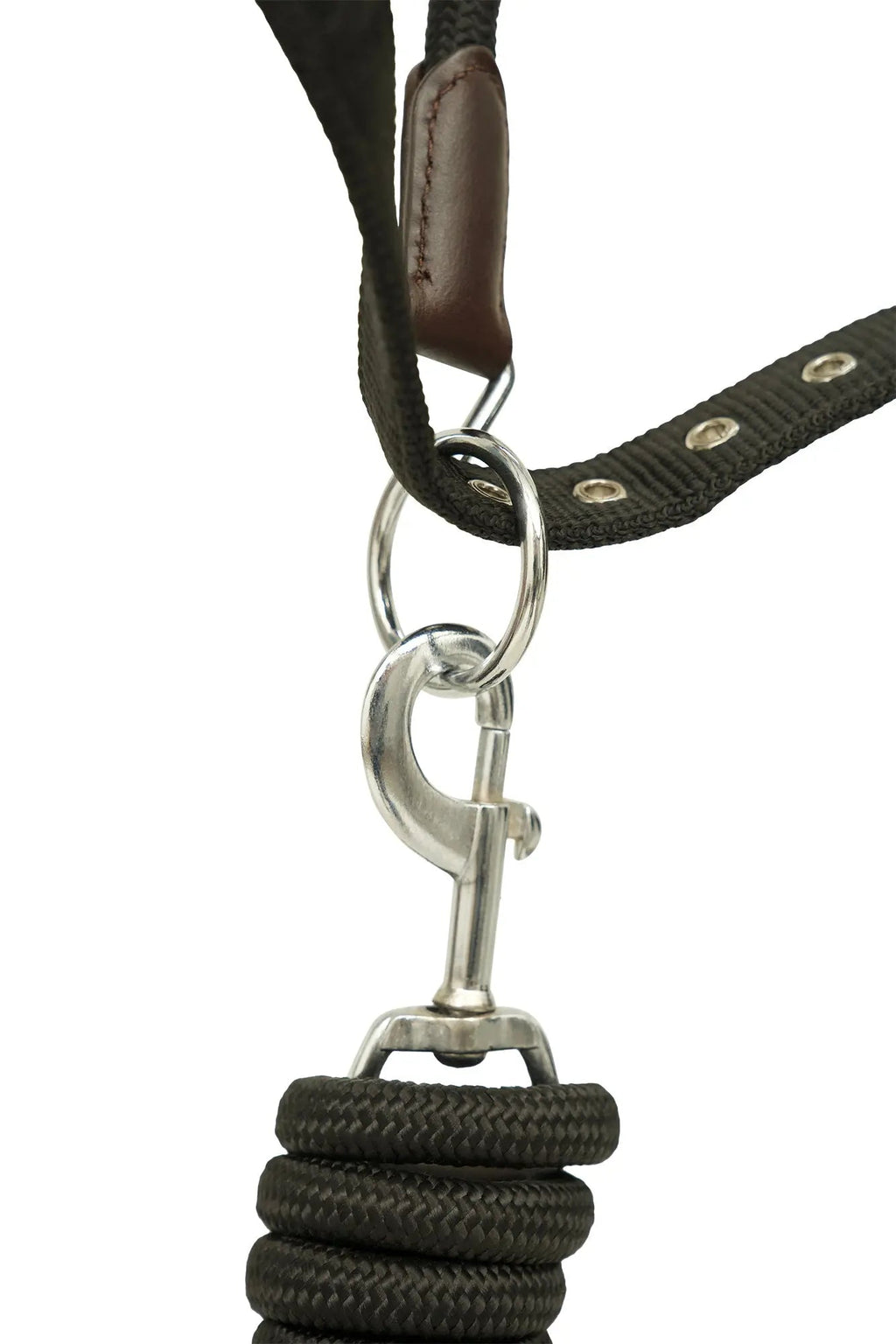 Huntley Nylon Halter and Removable Lead with Snap, Black