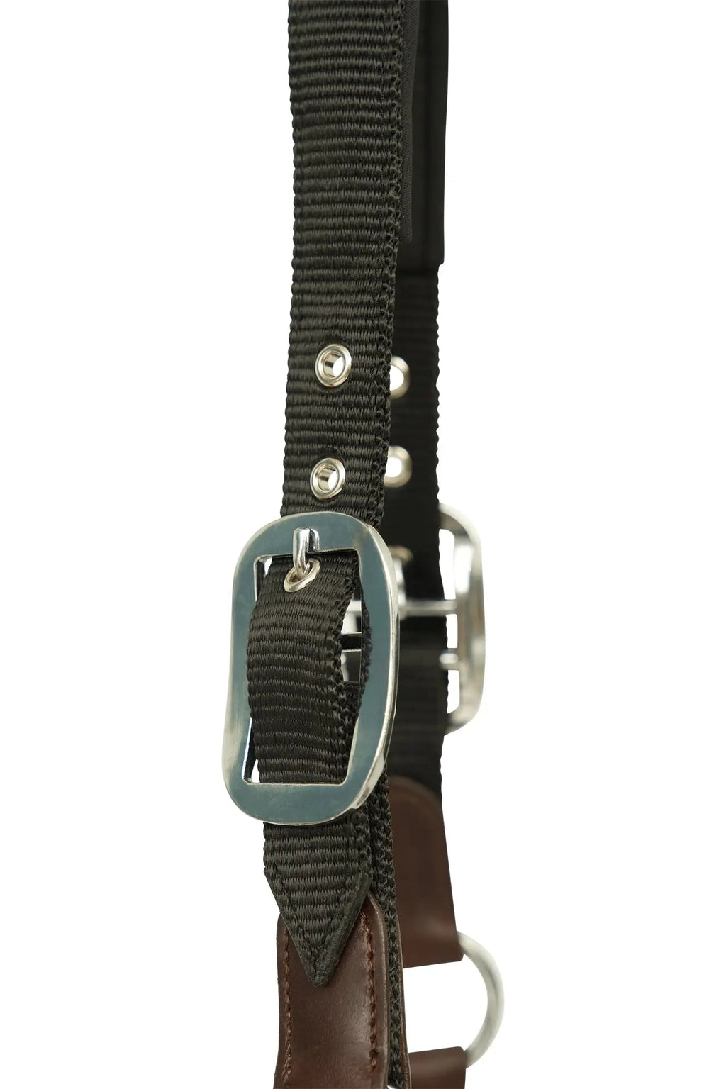 Huntley Nylon Halter and Removable Lead with Snap, Black