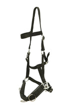 Huntley Nylon Padded Lunging Caveson, Black