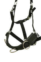 Huntley Nylon Padded Lunging Caveson, Black