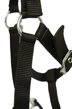 Huntley Nylon Padded Lunging Caveson, Black