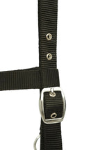 Huntley Nylon Padded Lunging Caveson, Black