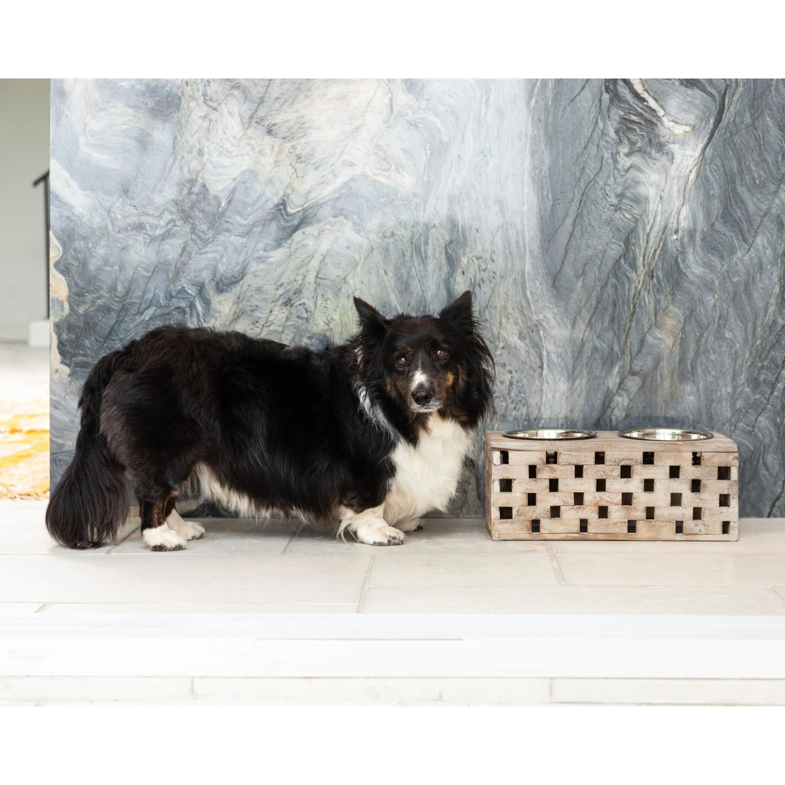 Huntley Pet Elevated Dog and Cat Double Bowl Feeder