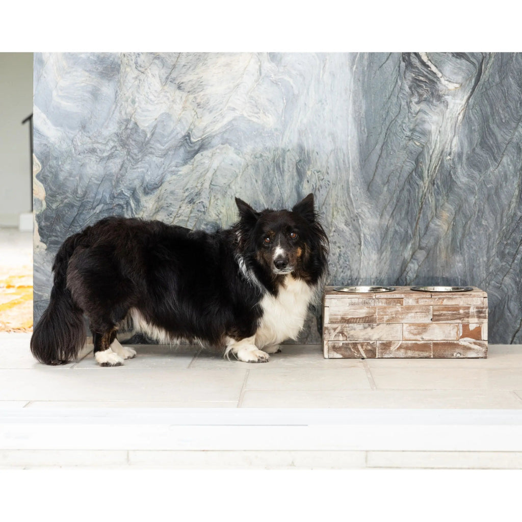 Huntley Pet Elevated Dog and Cat Double Bowl Feeder