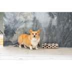 Huntley Pet Elevated Dog and Cat Double Bowl Feeder