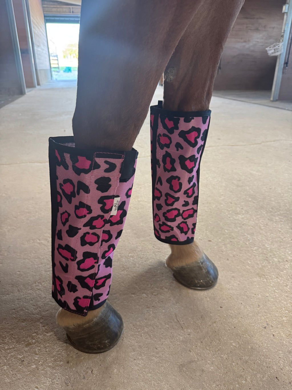 Catty Cowgirl Fly Boot 4-Pack